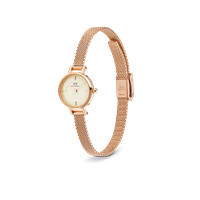 Orologio Daniel Wellington Donna PETITE MINI in Acciaio DW00100741 - DW00100741